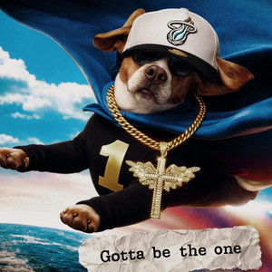 Gotta Be The One by Lev Nova, Lakhi, Nel Arising