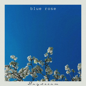 Daydream by Blue Rose