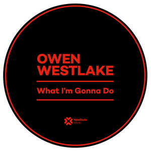 What I’m Gonna Do by Owen Westlake
