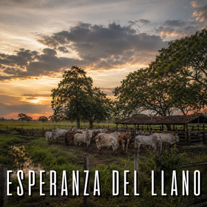 Arpa en la Sabana by El Veguero Yhonaikel