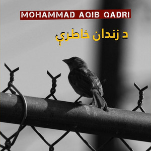 Mohammad Aqib Qadri - تش په خوله نوم د قران اخلي