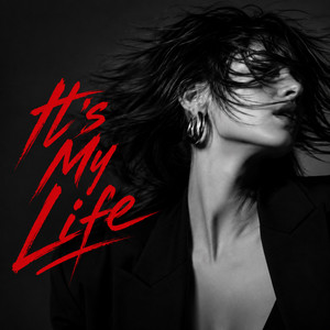 It's My Life by Dj Monster