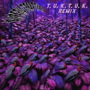 superultra2dtunes — T. U. K. T. U. K. Remix