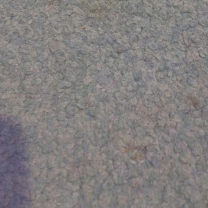 Viral sounds - Viral 5