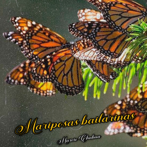 Mariposas Bailarinas by Raukar Itusca