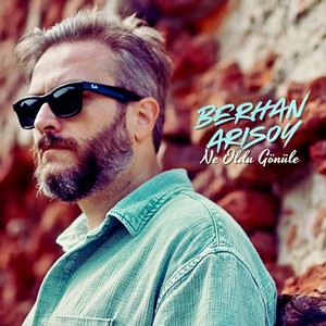 Ne Oldu Gönüle by Berhan Arısoy