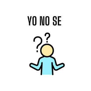 YO NO SE by LA FLAUTTA
