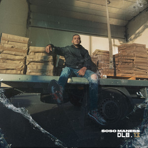 Portada de DLB 13