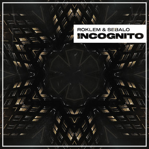 Incognito by Roklem, Sebalo