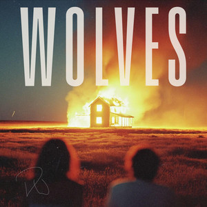 Wolves by Paul Woida