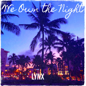 We Own the Night by Lynx
