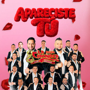 Apareciste Tú album cover