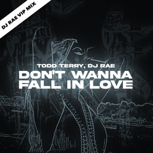 Don't Wanna Fall In Love - DJ Rae VIP Edit by Todd Terry, DJ Rae