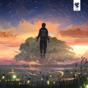 Skyriding by eleven, Your Magnolia, Cosmic Koala