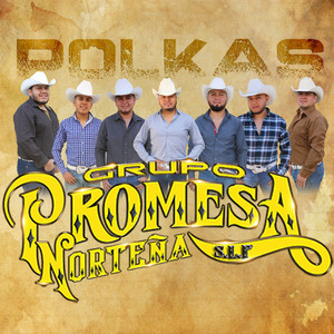 Grupo Promesa Norteña Slp - Polkas