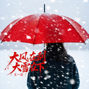 大风在刮大雪在下 - 新版 by 王一佳