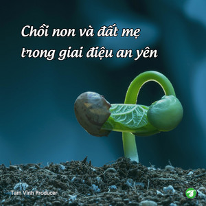 Đất Mẹ Và Thiên Nhiên Cỏ Cây by Tam Vinh Producer, AudioBay, Vprod Music