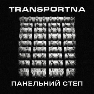 Панельний степ by Transportna