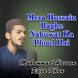Mera Hussain Baghe Nabuwat Ka Phool Hai by Muhammad Hassan Raza Khan