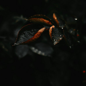 El Salado by DULCELX