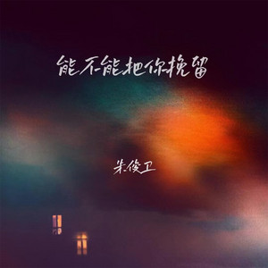 朱俊卫 - 能不能把你挽留