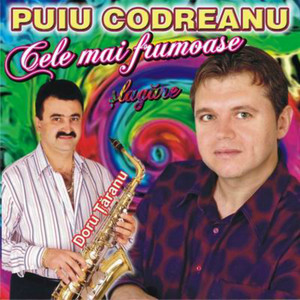 Puiu Codreanu - Sa Te Intorci Copilarie