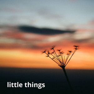 little things by Dumpy Noki