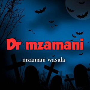Dr mzamani - Mzamani Wasala