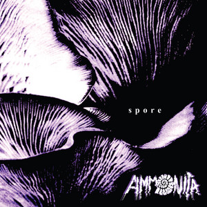 Righteous Socialite by Ammonita