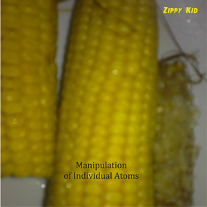 Manipulation of Individual Atoms