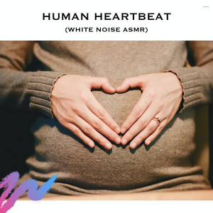Human Heartbeat (White Noise ASMR)
