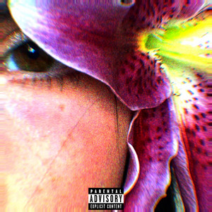 nose bleed - Privacy