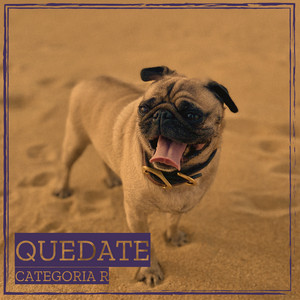Quedate by Categoria R