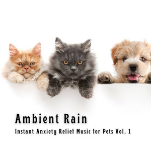 Ambient Rain: Instant Anxiety Relief Music for Pets Vol. 1 album