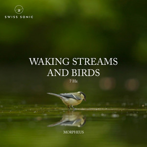 Waking Streams And Birds by Morpheus