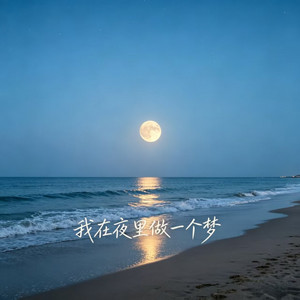 我在夜里做一个梦 by 魔法老爹