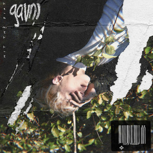 hit the dirt by gavn!