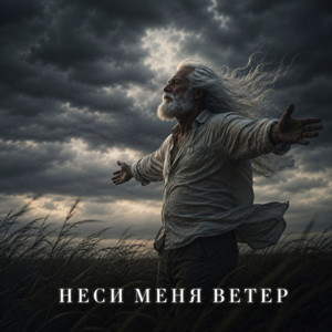Неси меня ветер by RUSSONG, ТИХОН