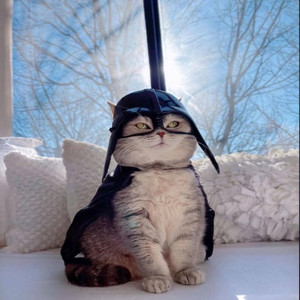 Sukardi - แผ่นดินไหว