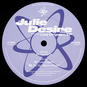 Do You Wanna Party? by Julie Desire