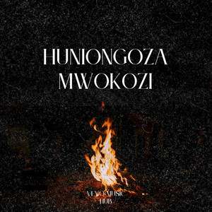 VEVO MUSIC HUB - Huniongoza Mwokozi