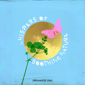 Brook Water Flowing by Dreamless Dial