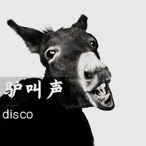 cool bar - 驴叫声 (Disco)
