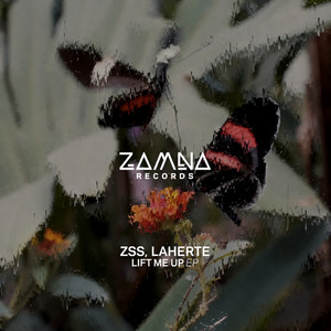 LOSING MY MIND by ZSS, Laherte