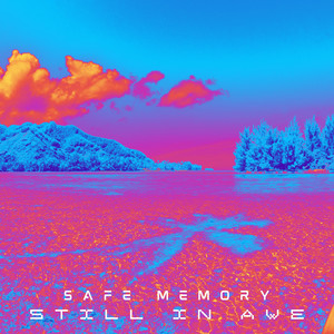 Need It by Safe Memory