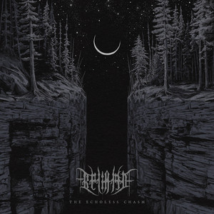 album cover: The Echoless Chasm