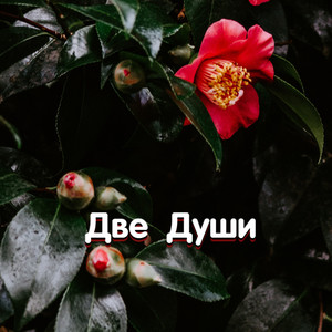 КАЗАЧЬЯ ДУША by Гравитация
