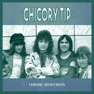 Cigarettes, Women and Wine by Chicory Tip