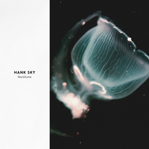 Noctilume by Hank Sky