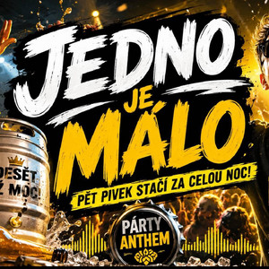 Jedno je málo deset už moc, pět pivek stačí by SONGY JINAK